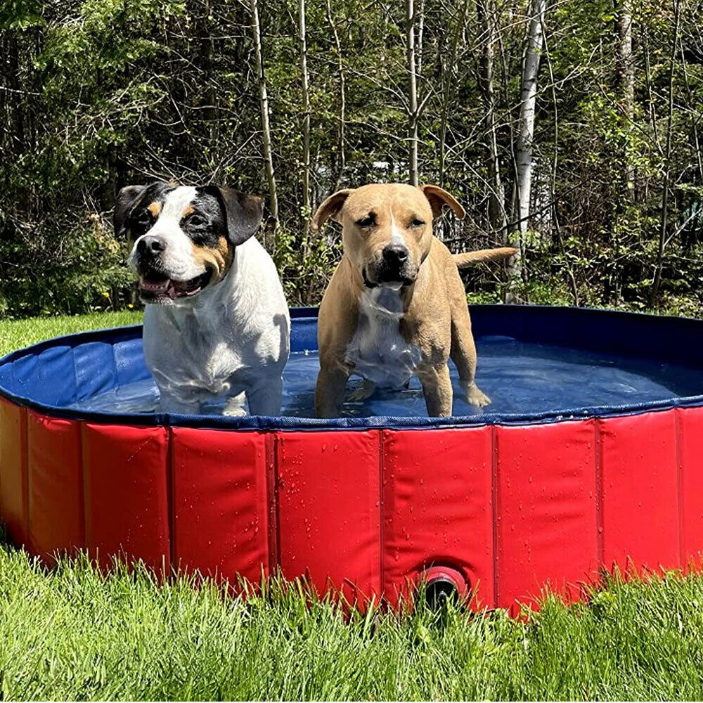 Luxury Portable Dog Pool