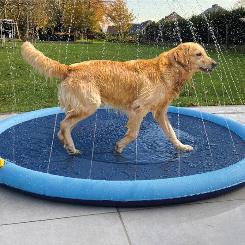 Doggie Splash Pad