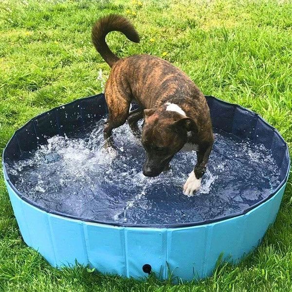 Luxury Portable Dog Pool Living Aussie