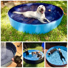 Luxury Portable Dog Pool