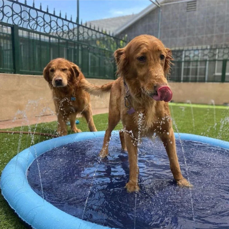Doggie Splash Pad