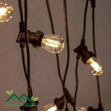 Solar LED Festoon Lights