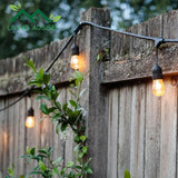 Solar LED Festoon Lights