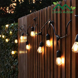 Solar LED Festoon Lights