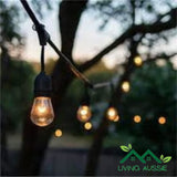 Solar LED Festoon Lights