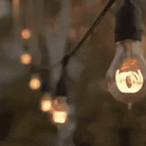 Solar LED Festoon Lights